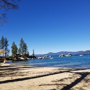 Meet your Posher, Lee